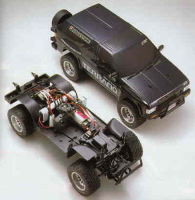 terrano_cat_xga.jpg (494 KB)